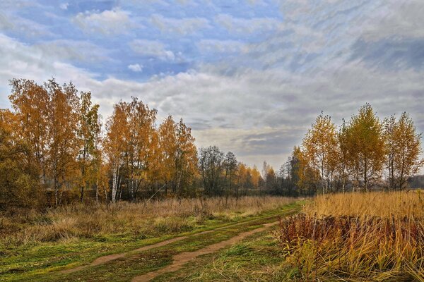 Title Herbstlandschaft der Moskauer Bäume