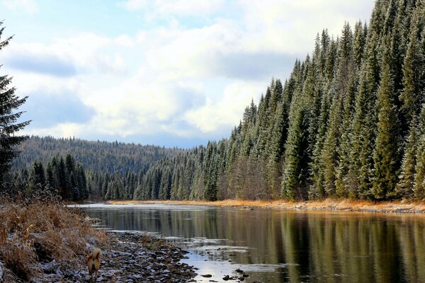 Россия. Леса и реки Пермского края