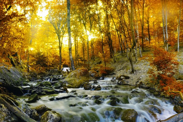 Autumn landscape in the forest. Waterfall and river