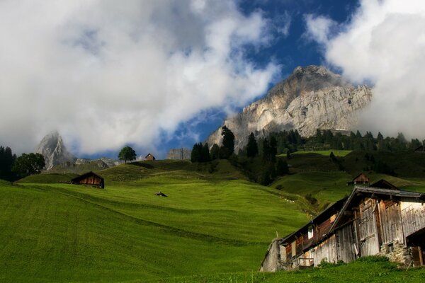 A small house on a green expanse against the background of a mountain