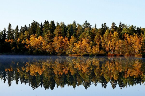 El hermoso paisaje de otoño se refleja en el agua