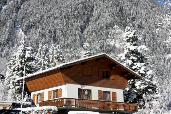 House on the background of winter nature