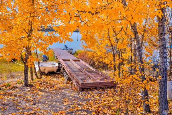 Automne doré au quai avec pont en bois