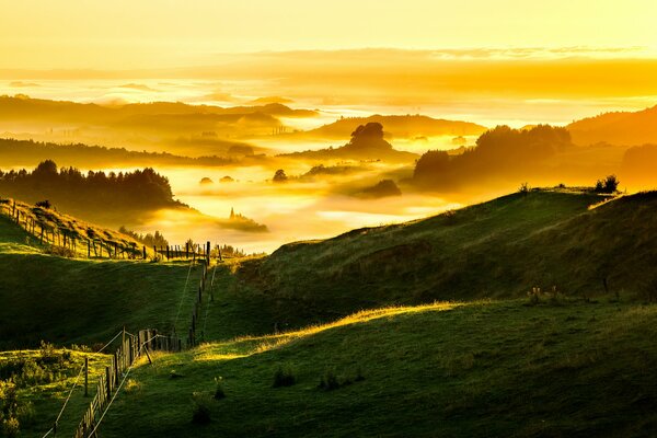 Lever du soleil dans le brouillard des champs verts