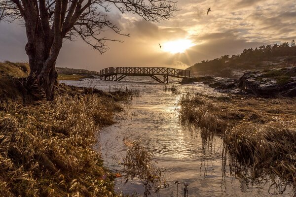 Morning dawn on the bridge by the river