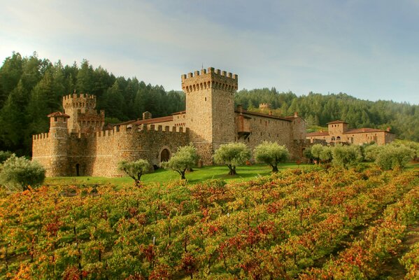 The fortress stands among plantations and forests