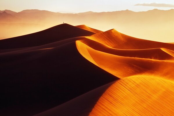 Deserto alla luce dei raggi del sole