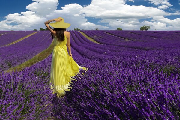 Fille en robe jaune dans le champ de lavande