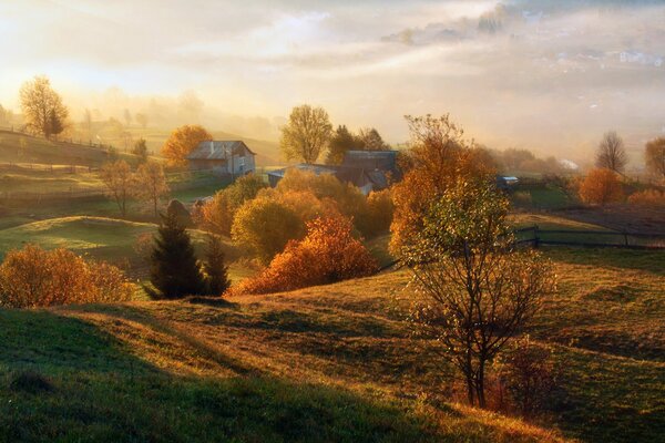 Campos de otoño y huertos con casas