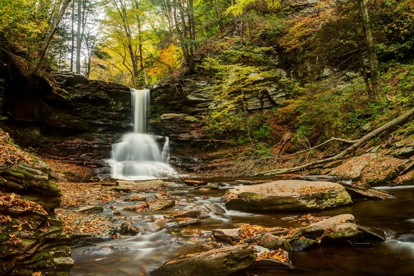 Kleiner Waldfall im Herbst