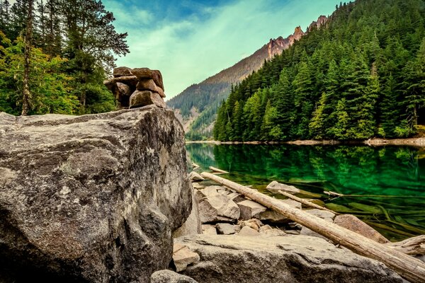 River with reflecting coniferous forest