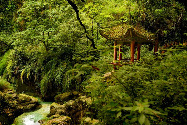 Cenador en el parque nacional Emeishan