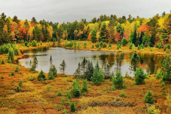 Herbst Waldsee, Foto