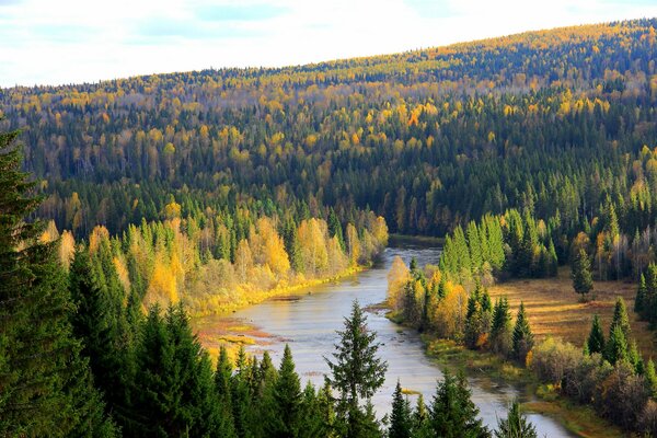 Russische Wälder. Region Perm