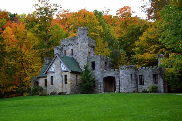 Bellissimo castello in una radura nella foresta tra gli alberi