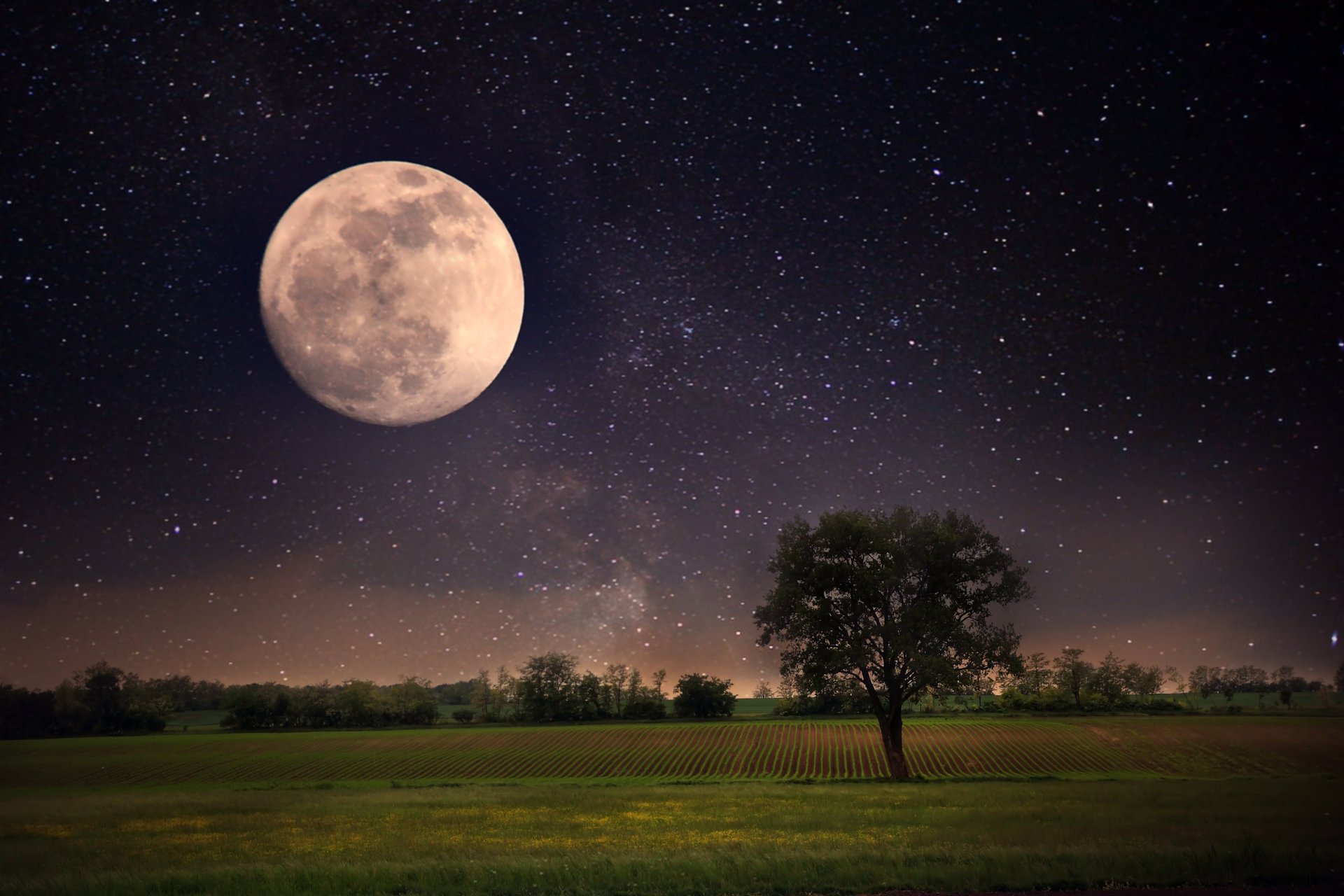 luna noche paisaje estrellas luna llena cielo hermosa escena naturaleza árbol solitario hermosas escenas