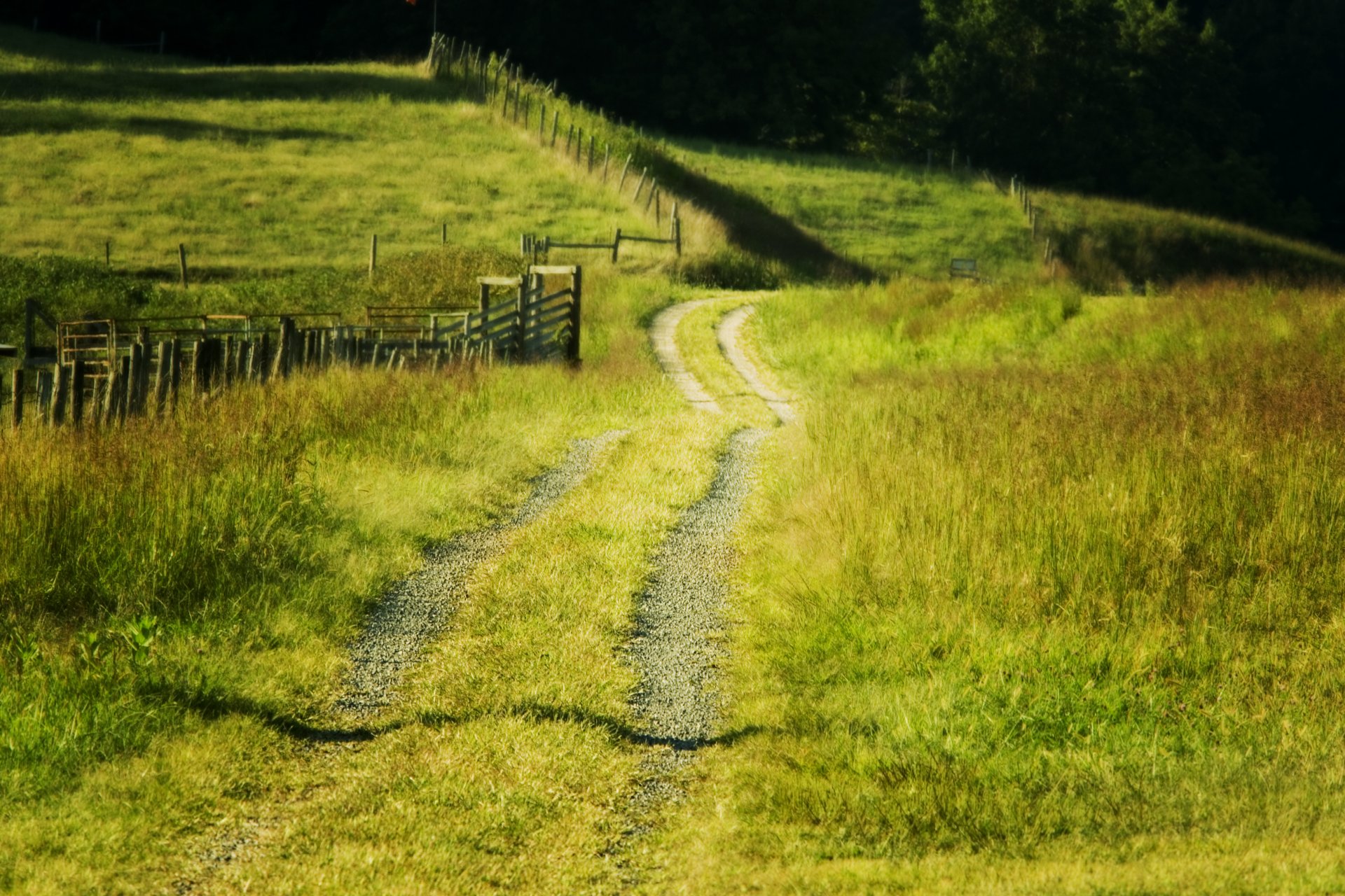 sommer feld straße zaun landschaft