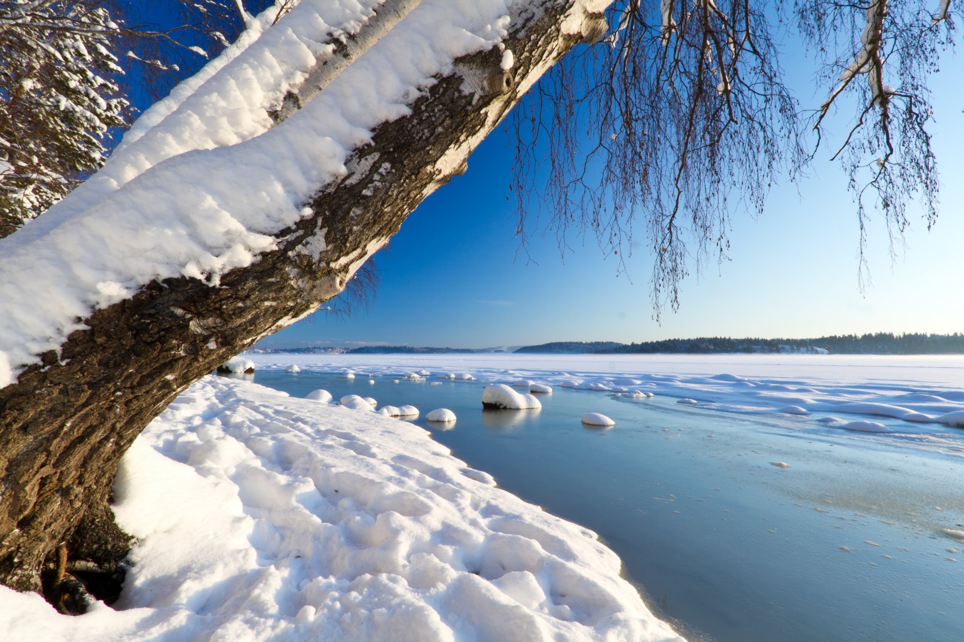 inverno neve acqua albero cielo fiume ghiaccio orizzonte