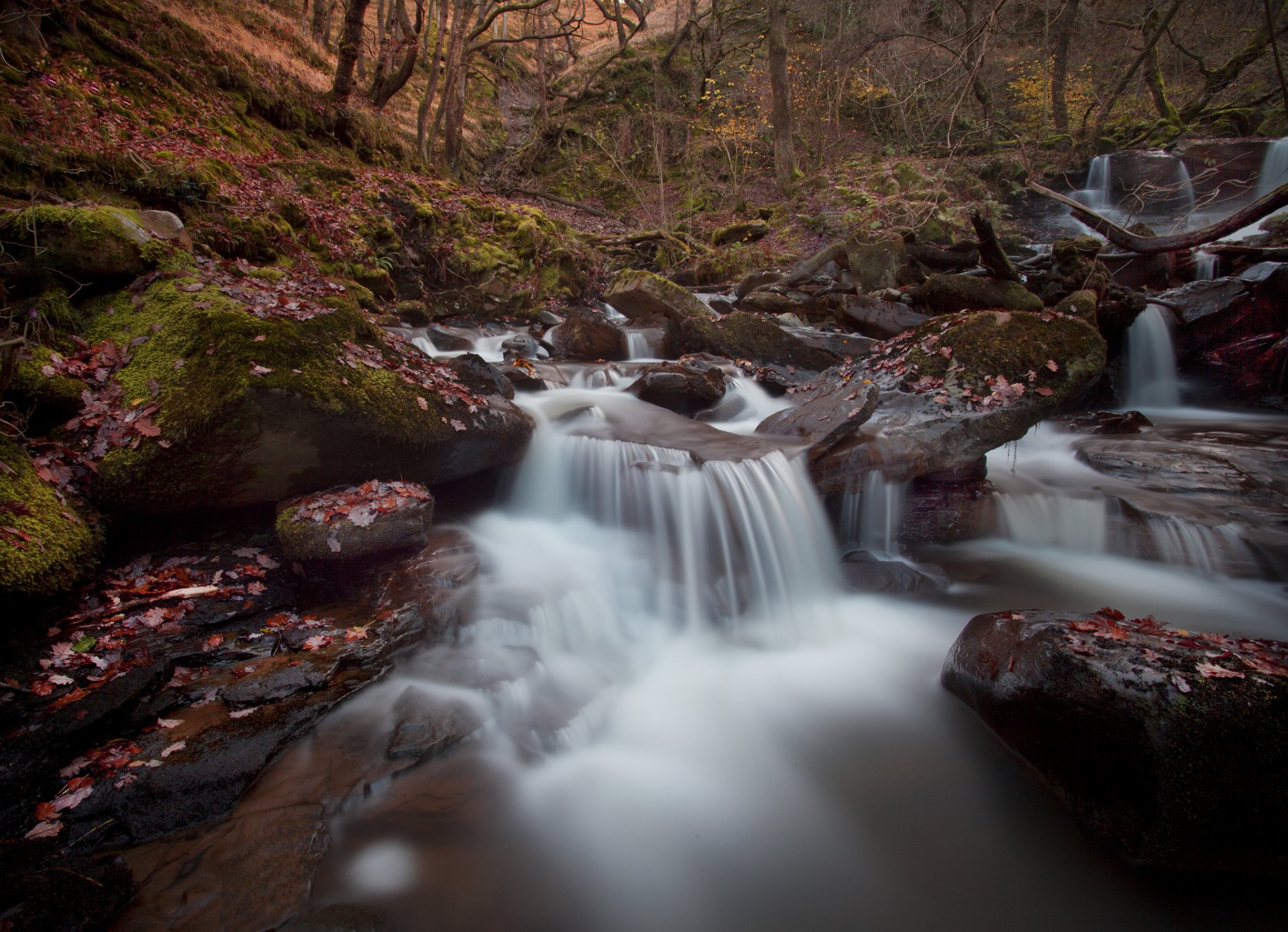 river stage autumn forest stone