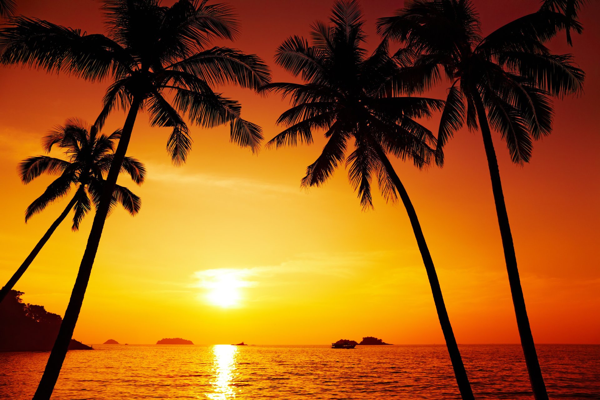 palme paesaggio tramonto isola di chang thailandia paesaggio natura oceano pacifico bellissimo paesaggio tramonto chang