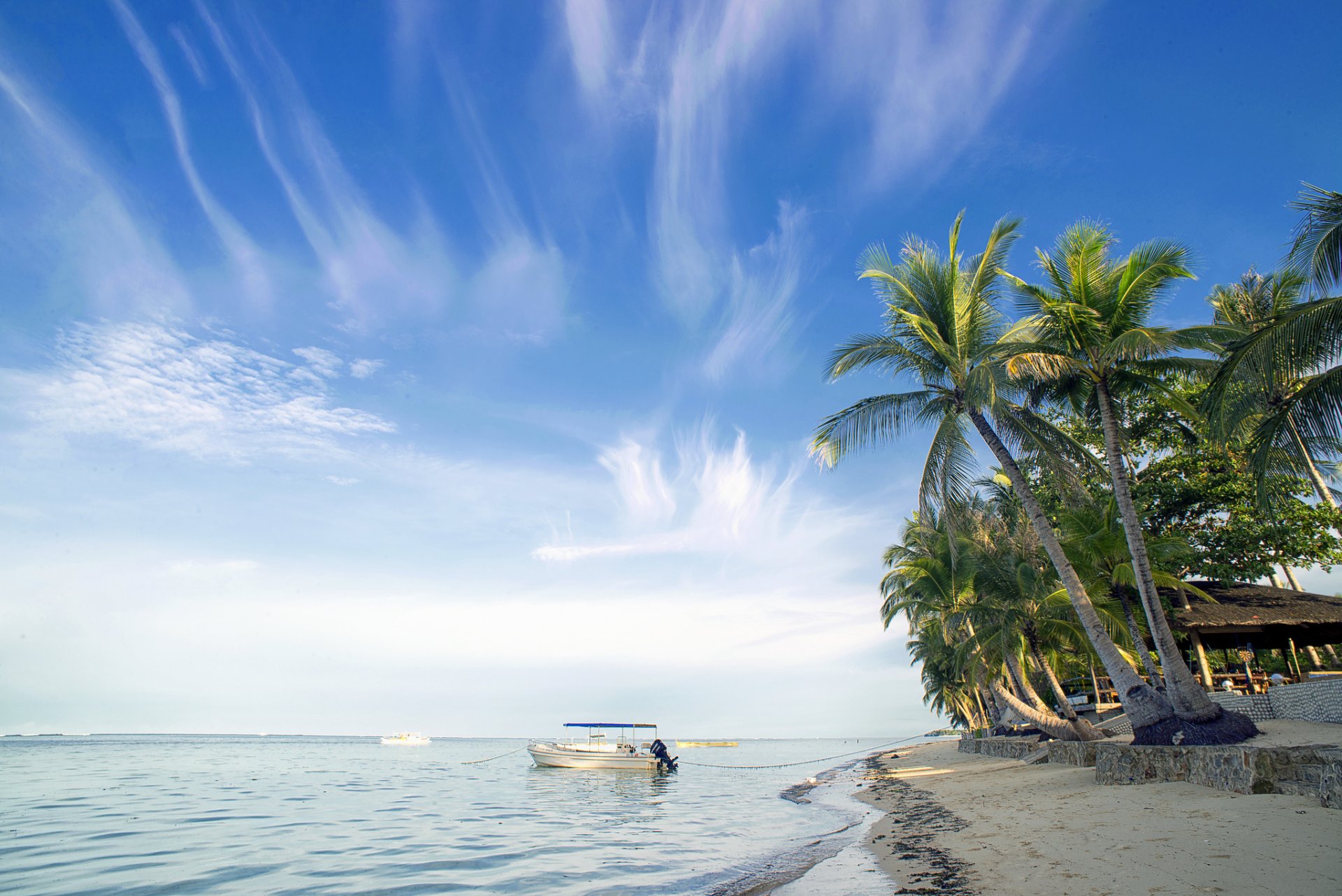 beach ocean palm boat