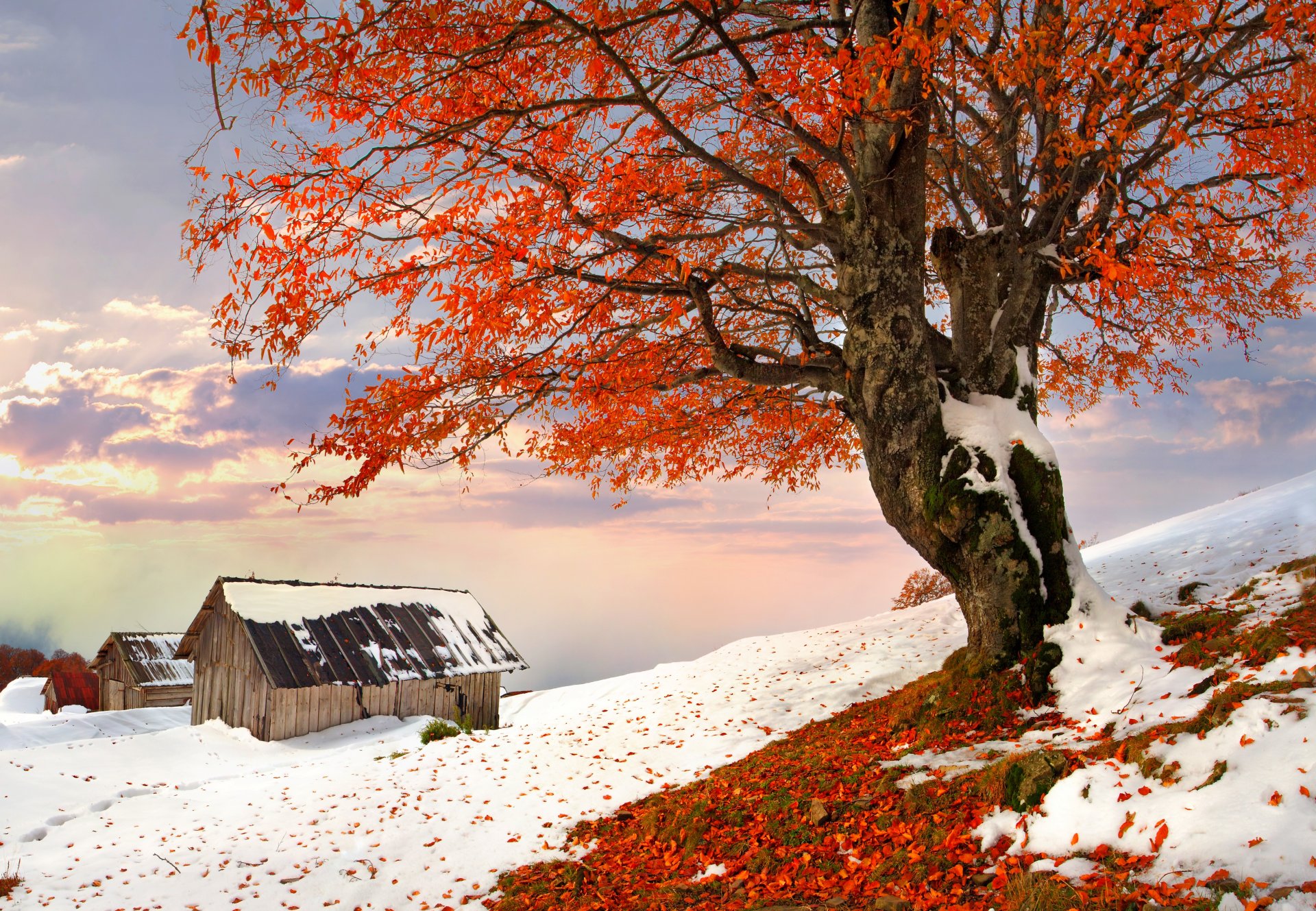 nature maison hiver neige ciel paysage hiver blanc sensa nice coucher de soleil