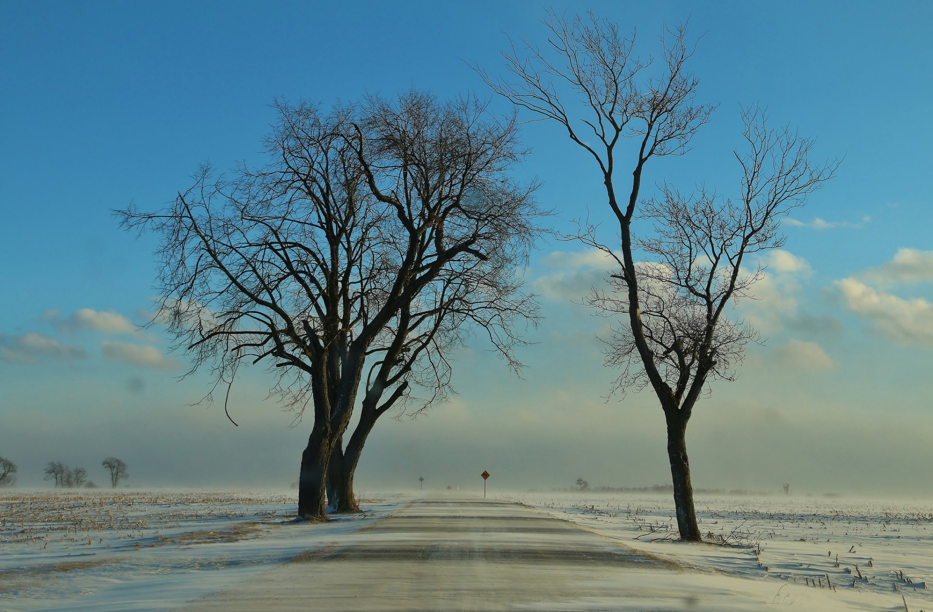 campo strada alberi neve concime inverno