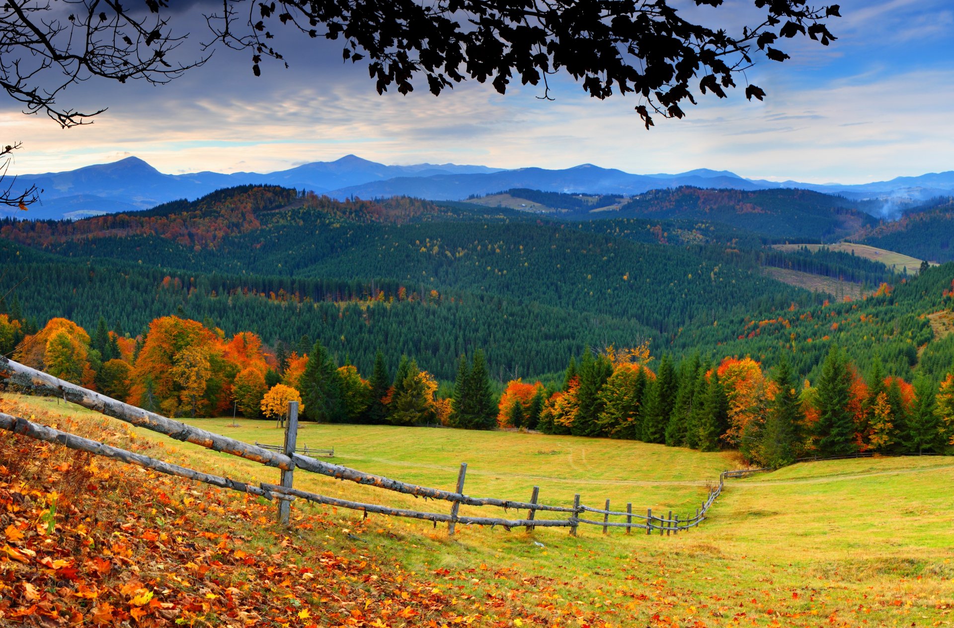 nature forest trees mountains grass leaves colorful road autumn fall colors walk sky