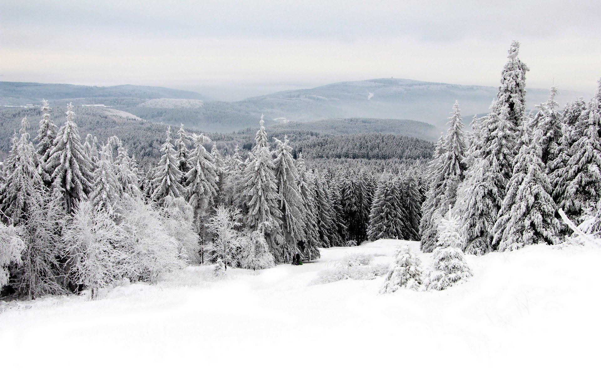 invierno nieve paisaje