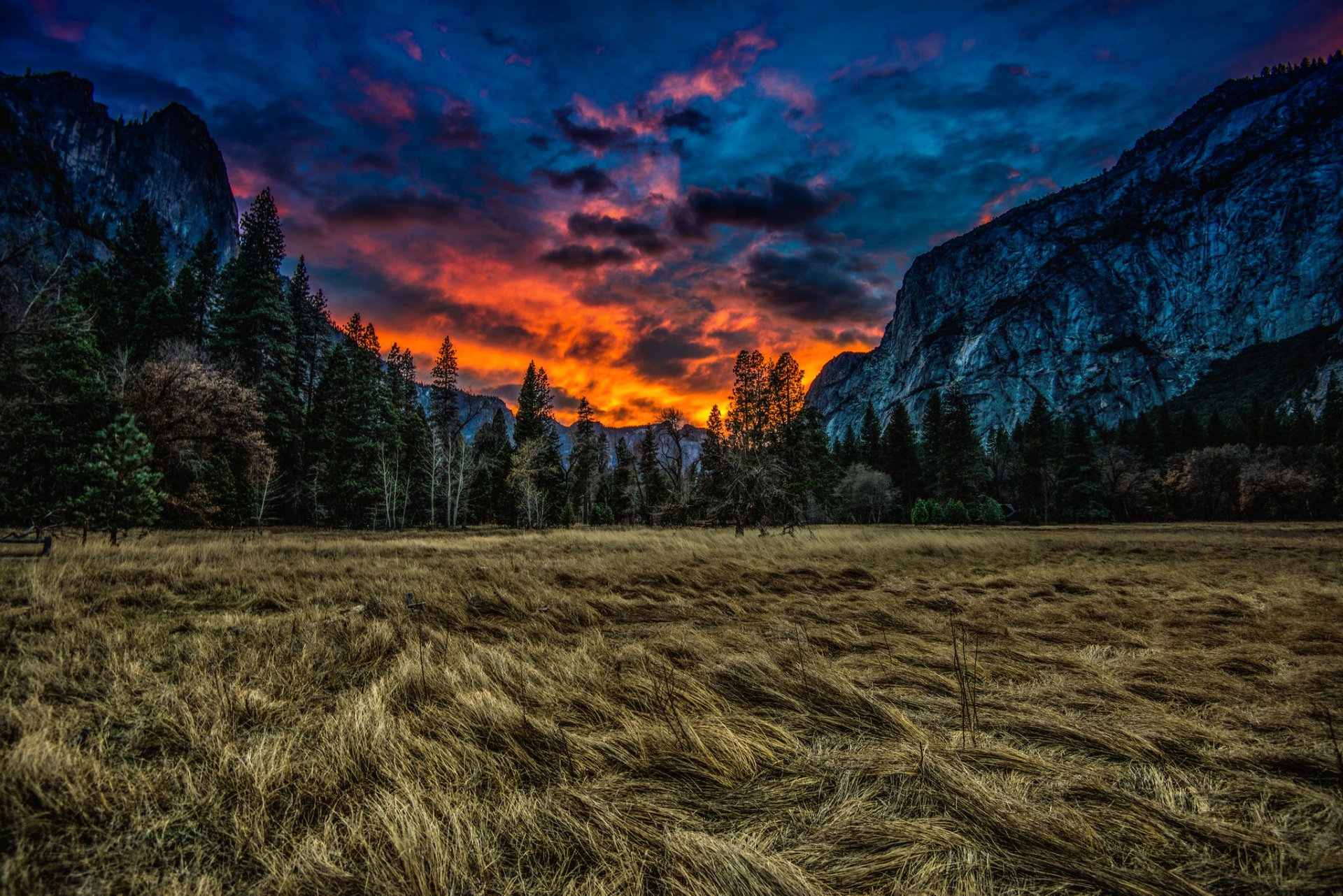 parc national de yosemite états-unis californie prairie herbe arbres montagnes coucher de soleil nuages nature