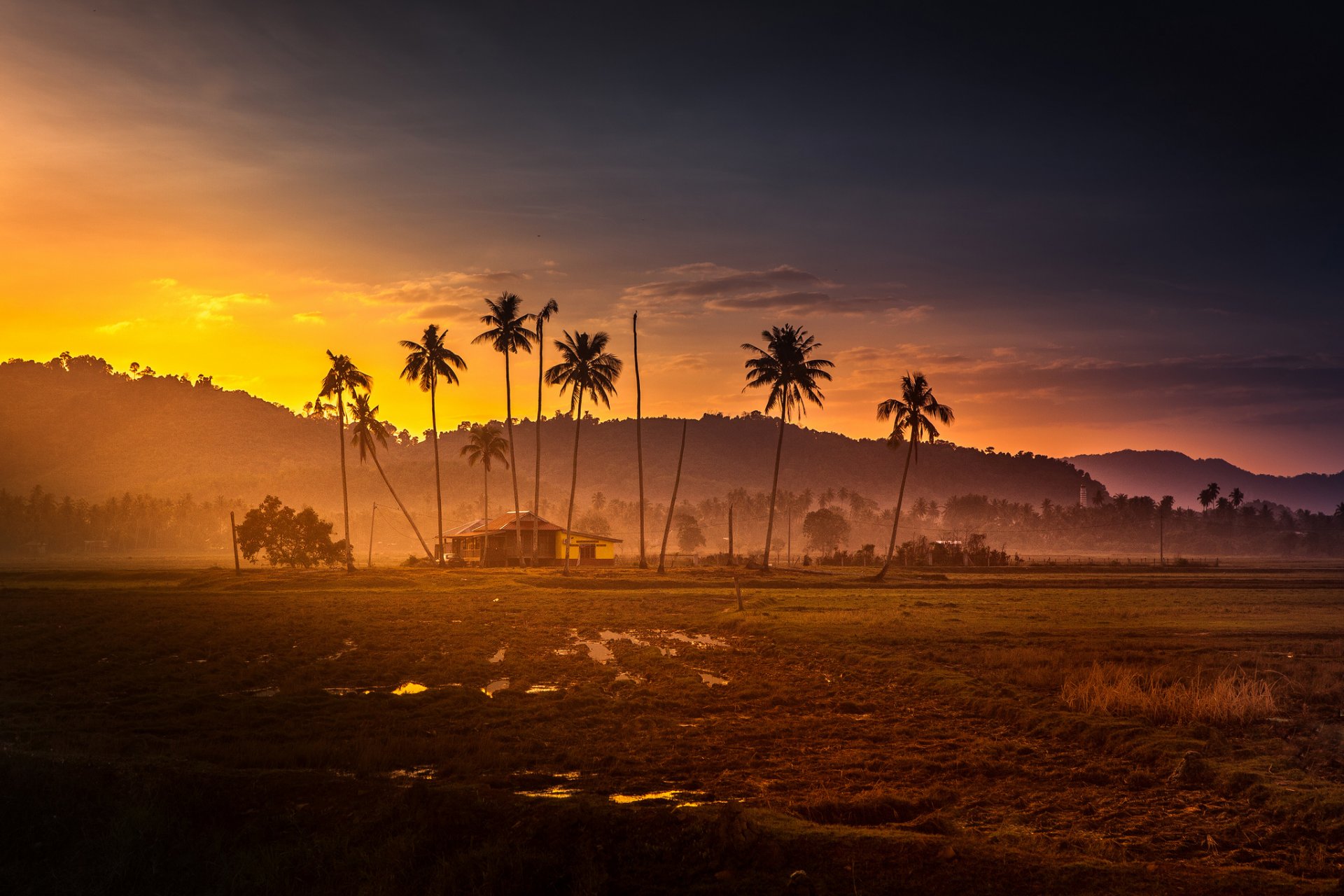 malasia puesta de sol cabaña palmeras selva montañas