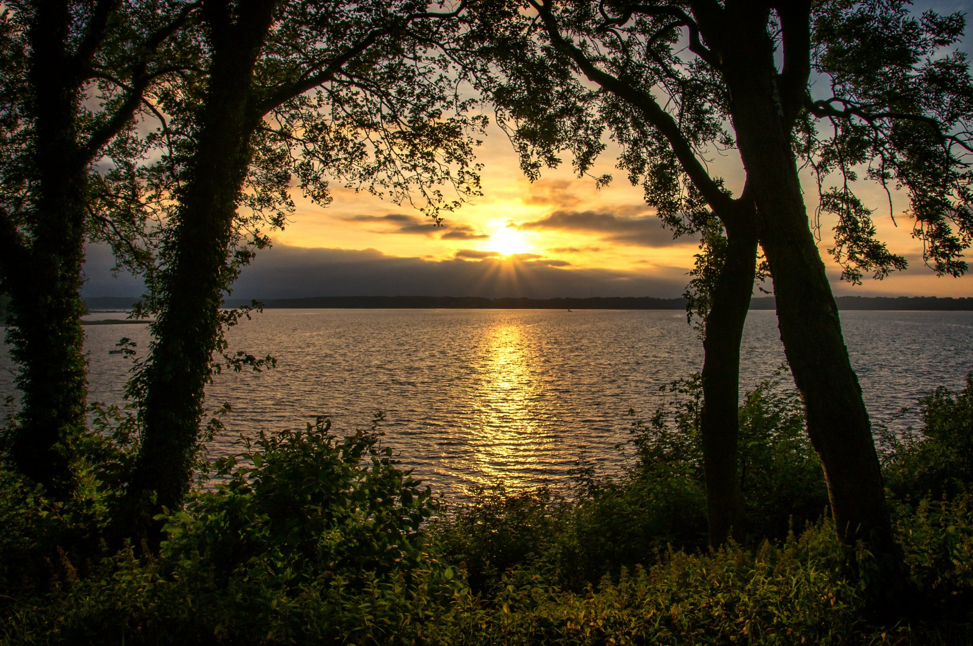 río orillas árboles arbusto follaje horizonte sol puesta de sol