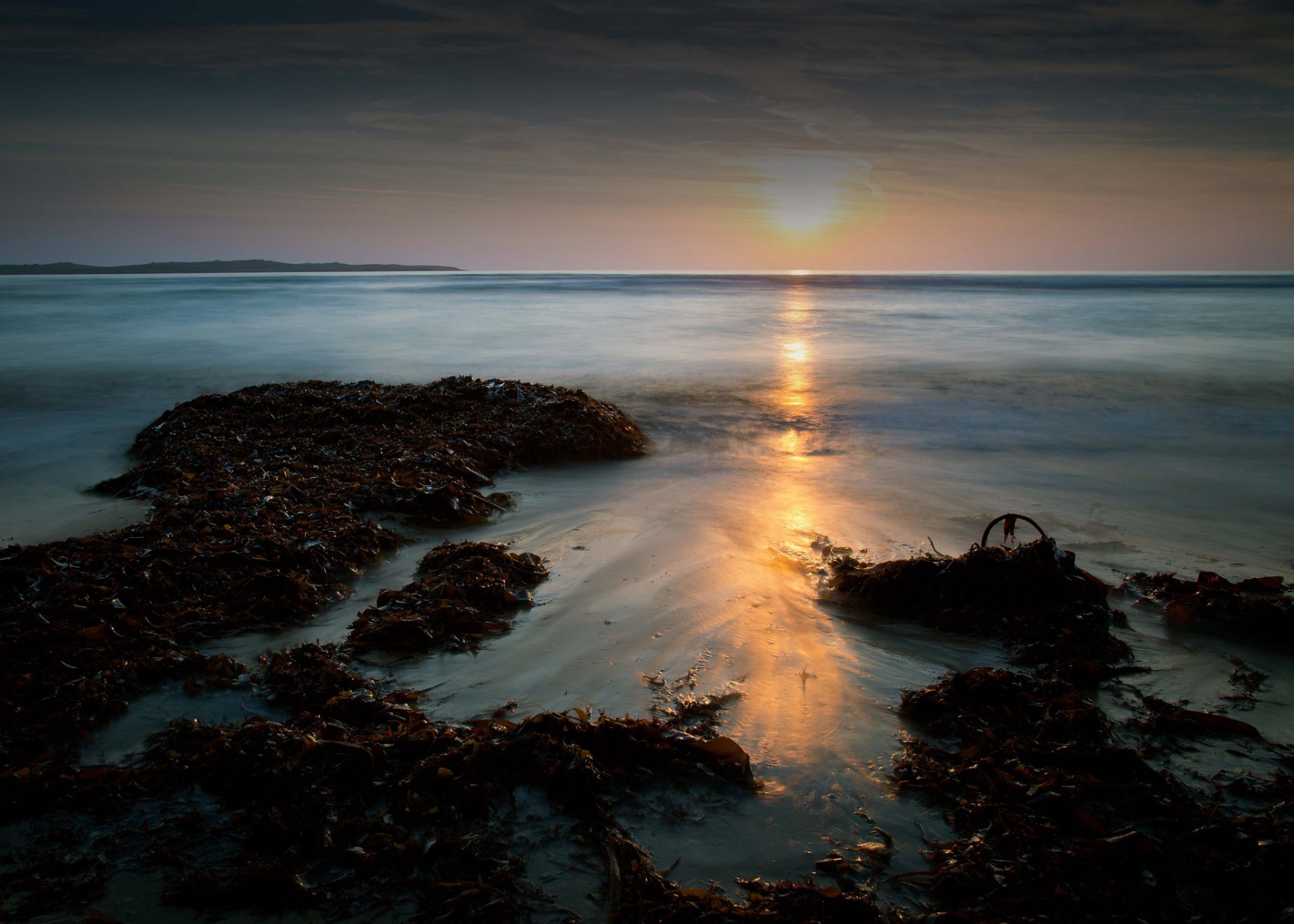 meer strand algen sonnenuntergang