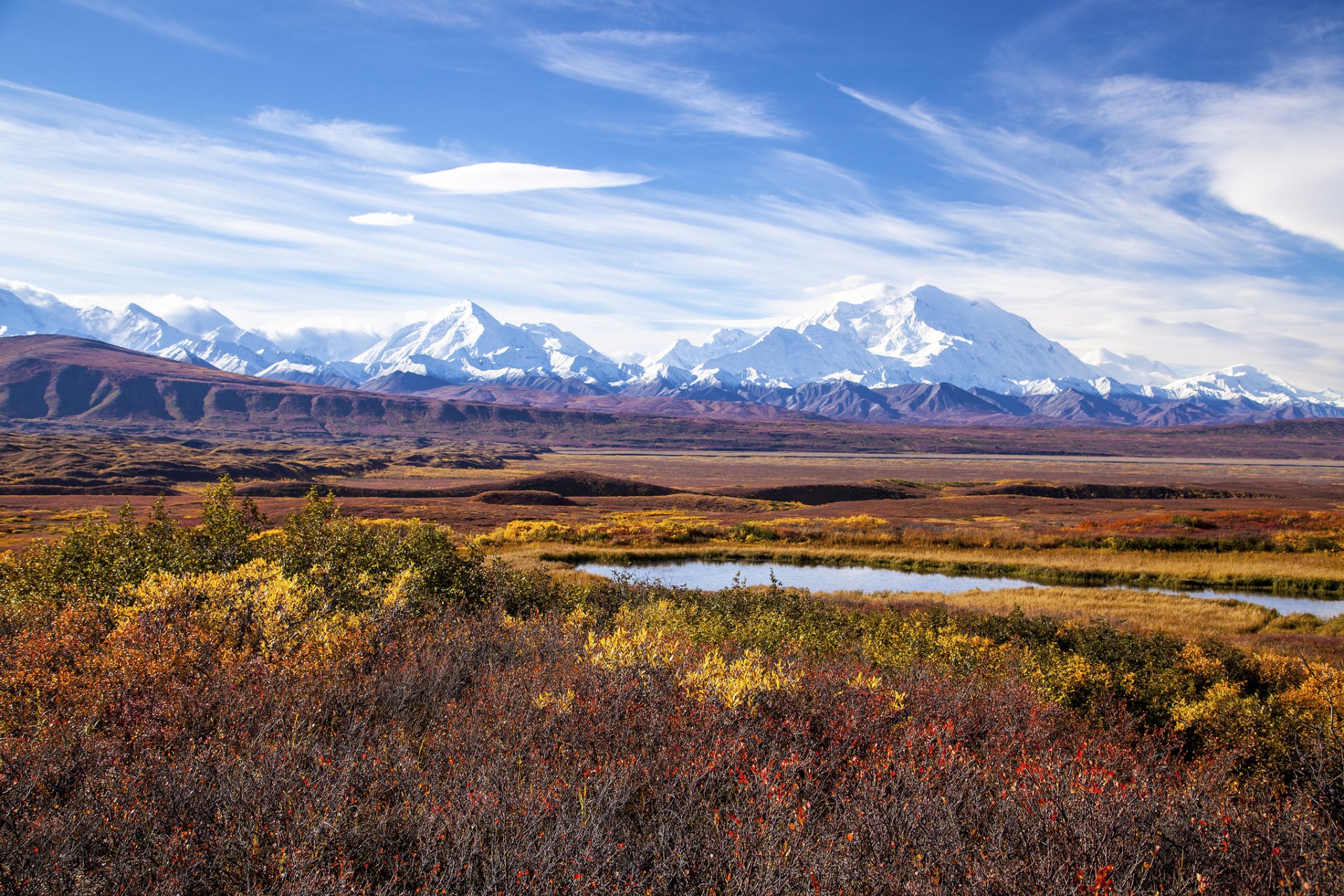 alaska denali national park mount mckinley