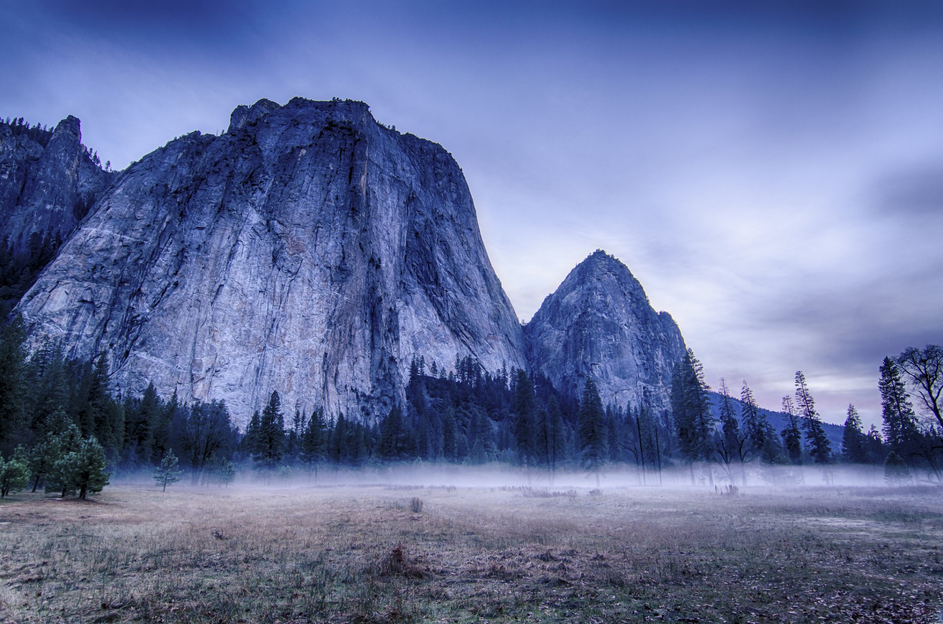 park narodowy yosemite usa yosemite drzewa góry mgła natura krajobraz