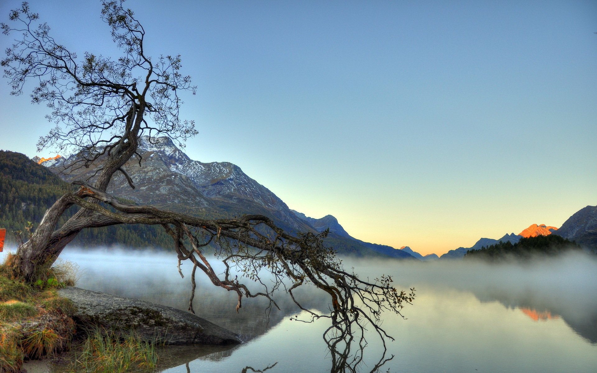 lac brouillard paysage