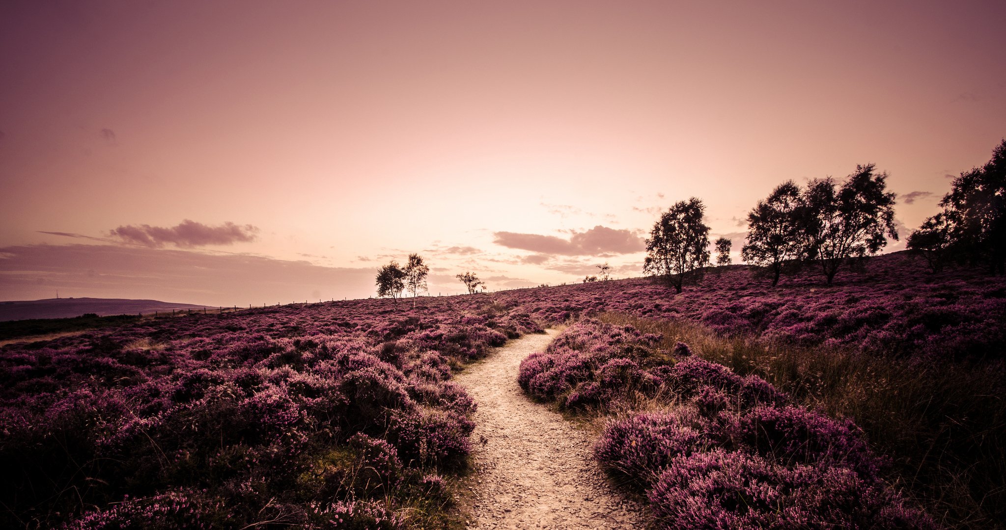 derbyshire england feld heidekraut pflanzen bäume straße weg natur landschaft abend