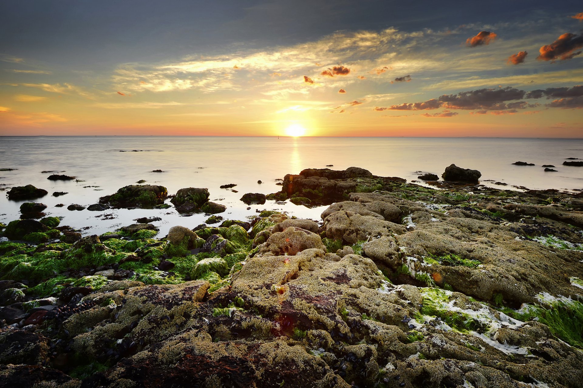 mar horizonte sol amanecer rocas algas