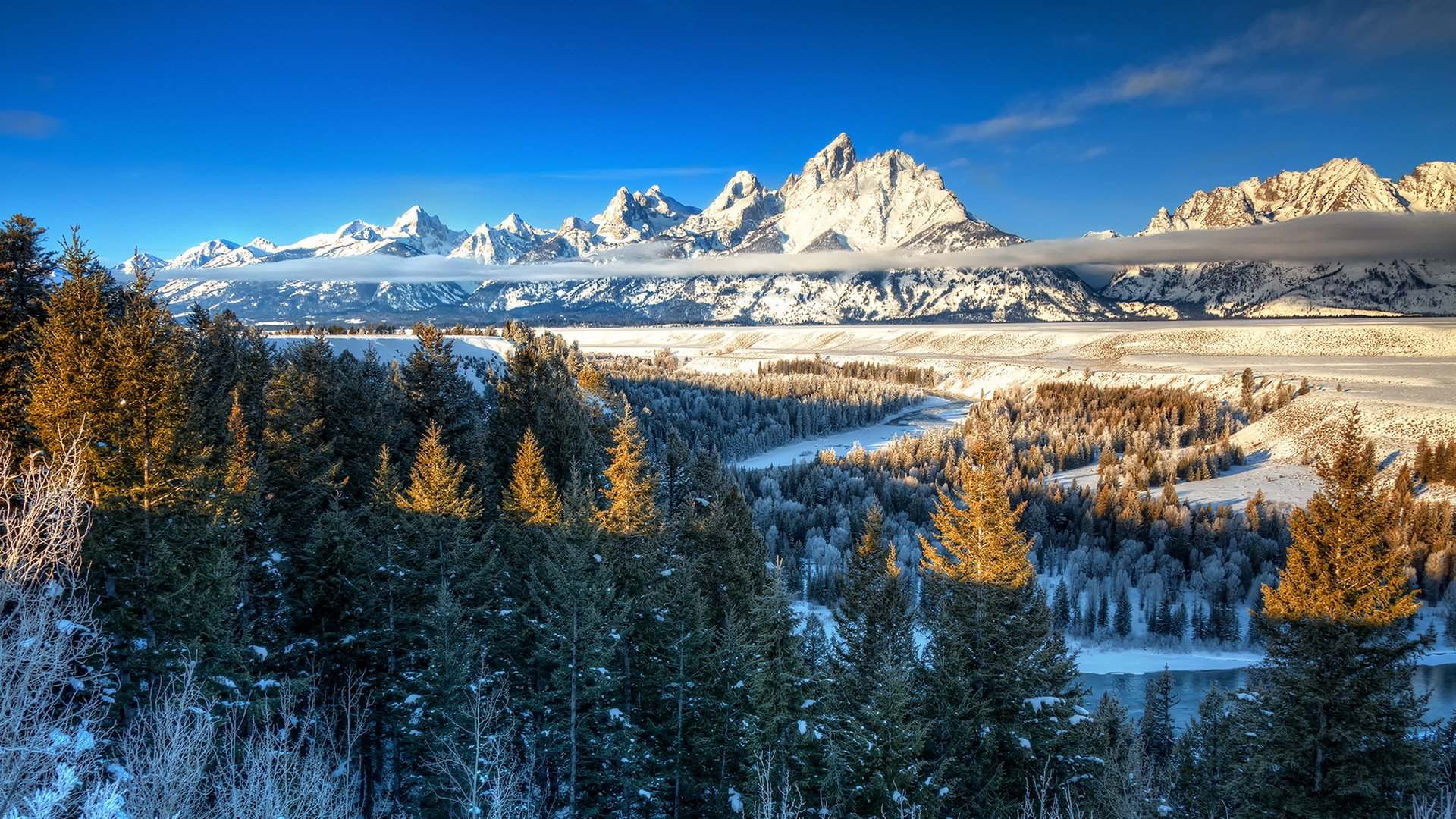 montagnes arbres nature paysage