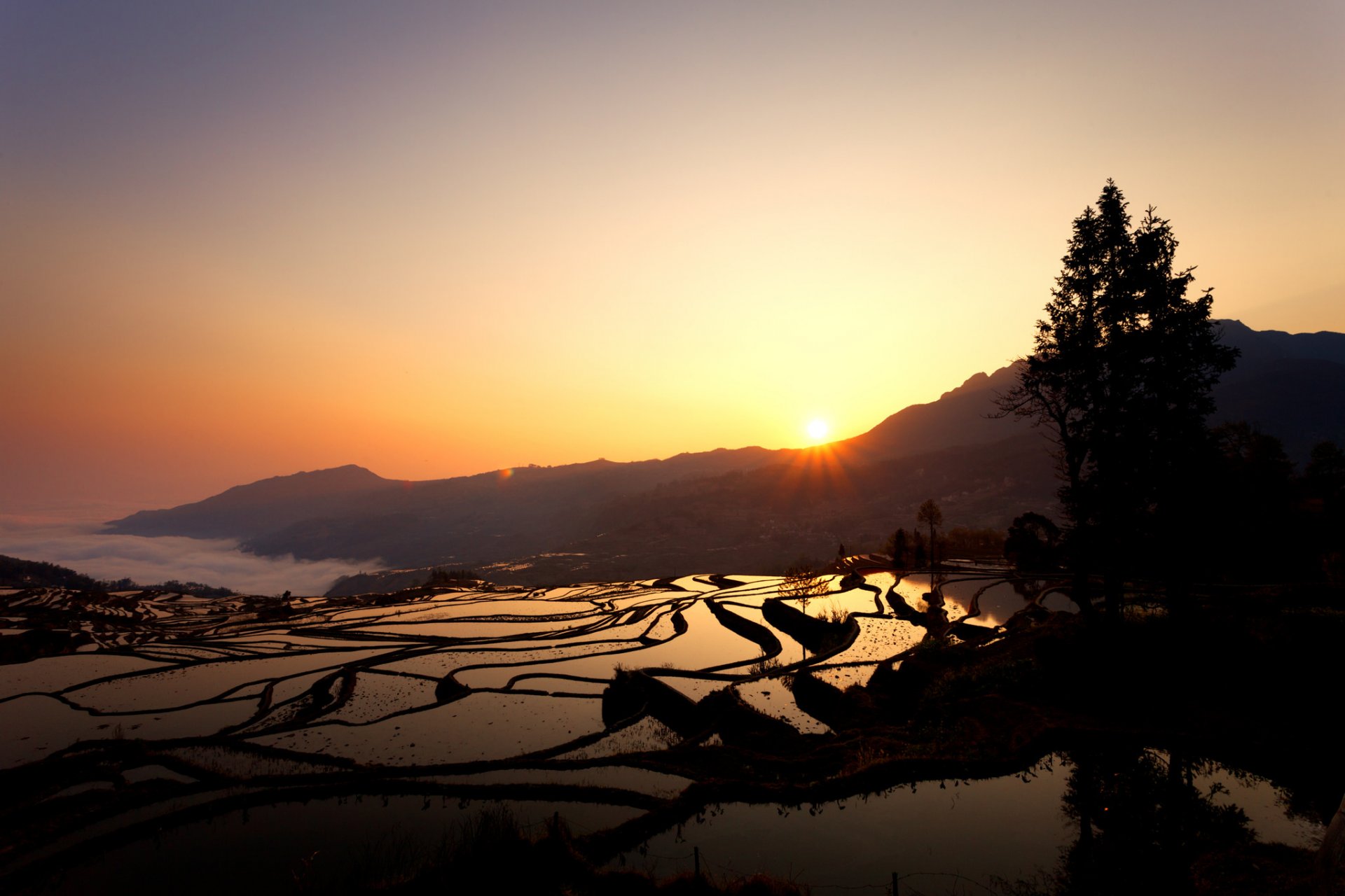 duoyishu campos de arroz amanecer