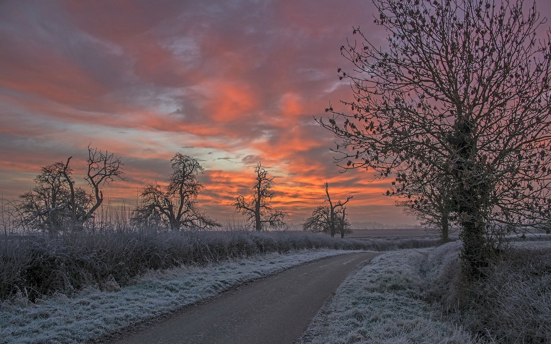 nuit route givre paysage