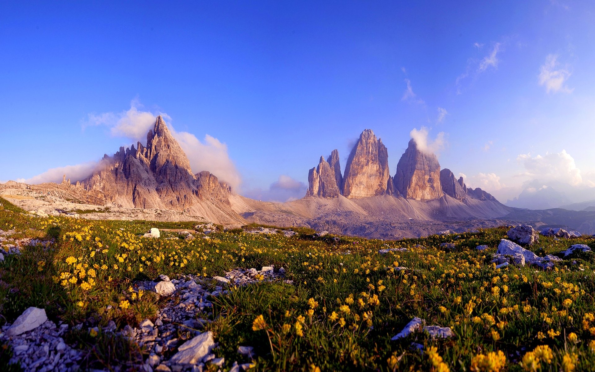 rocas puntiagudas flores piedras