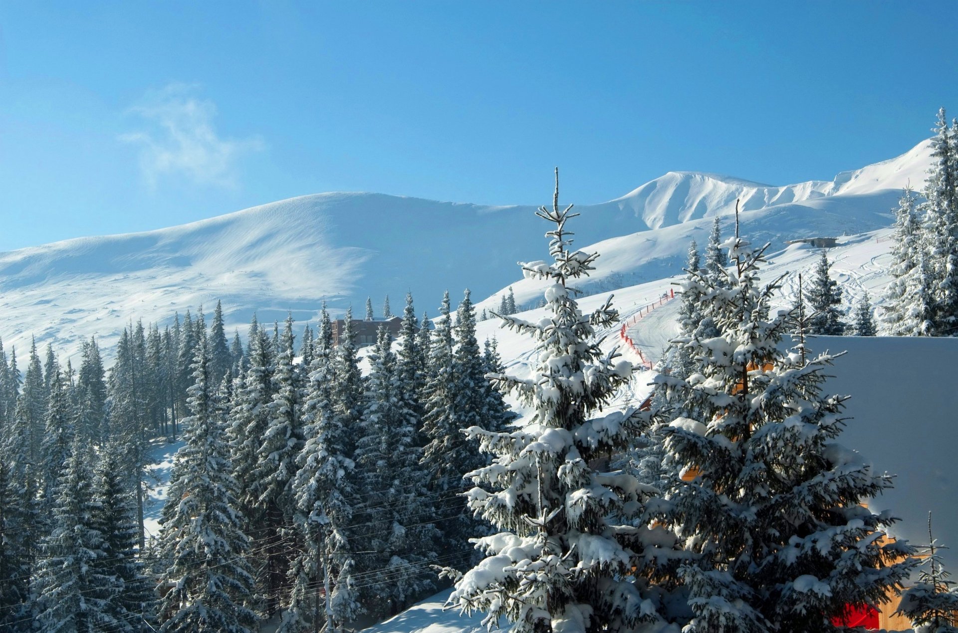 ukraine bukovel ski resort carpathian mountains mountain spruce snow winter