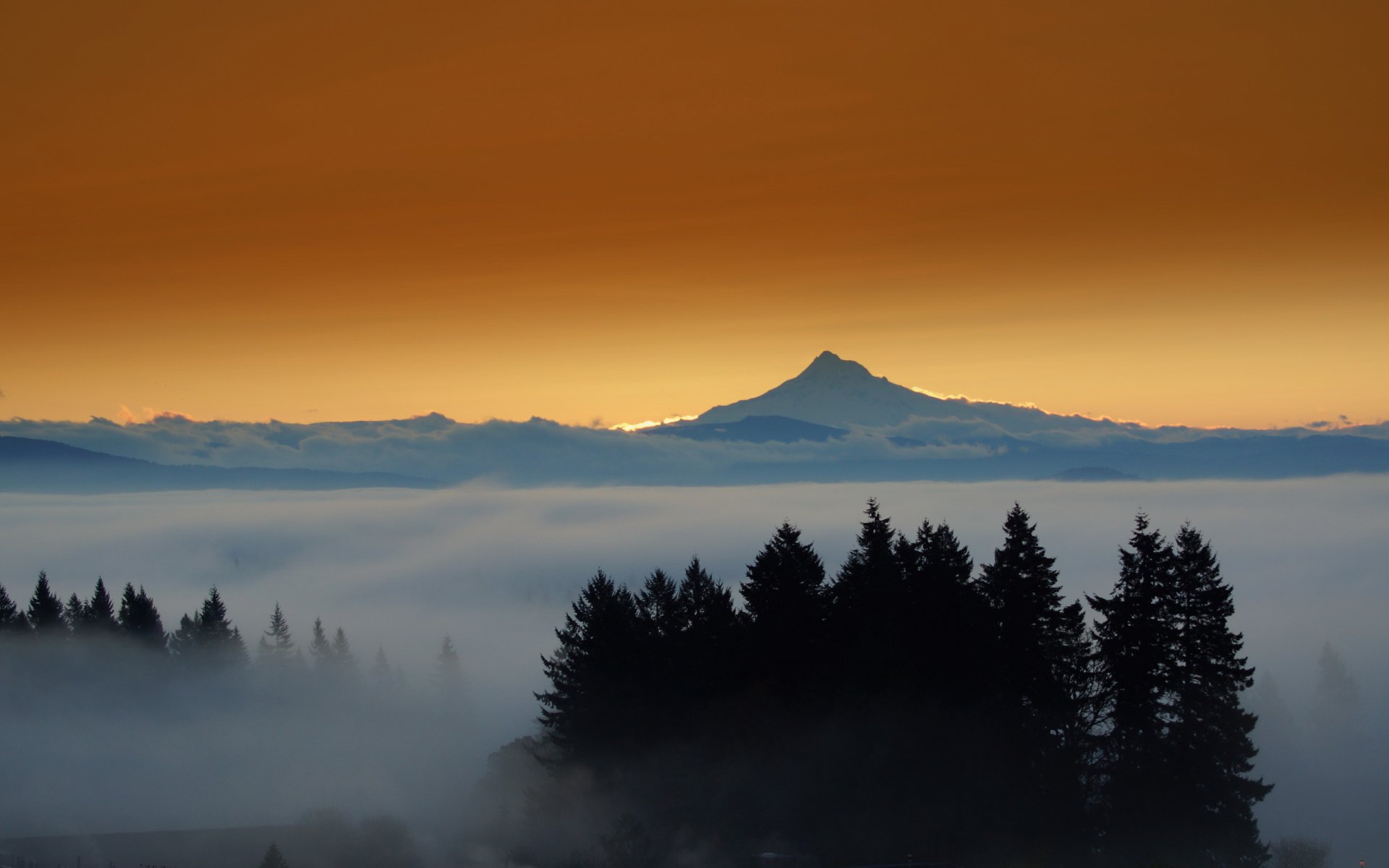 fog sunset landscape