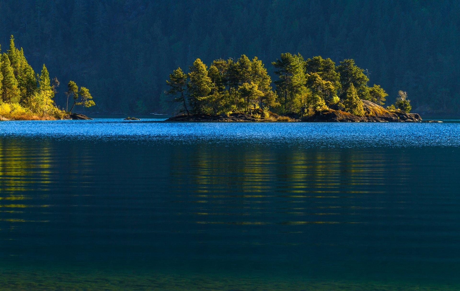 lac cowichan île de vancouver canada lac cowichan îlot forêt arbres eau