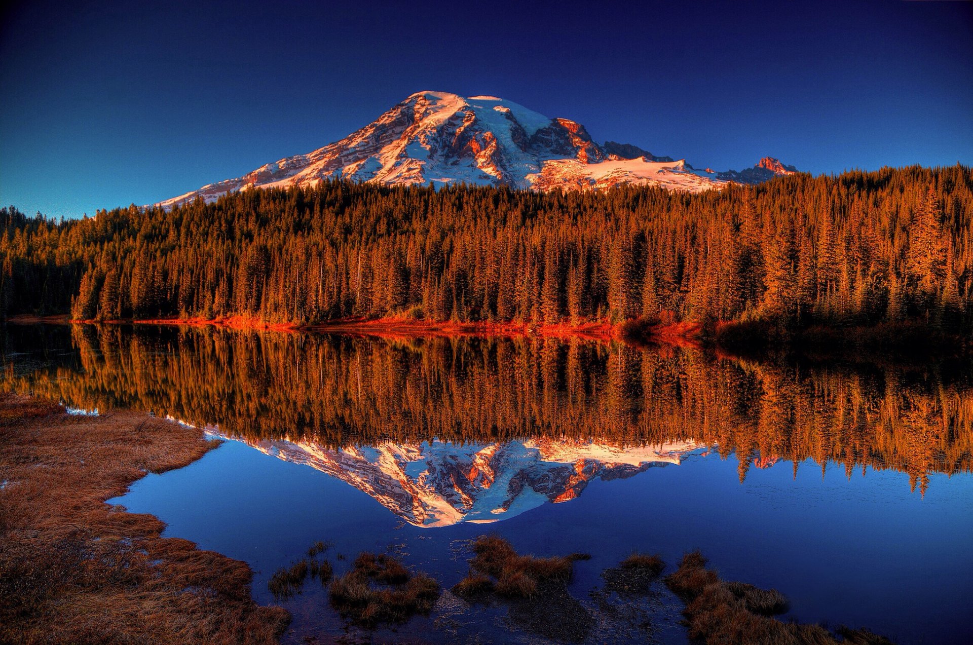 mountain forest lake reflection