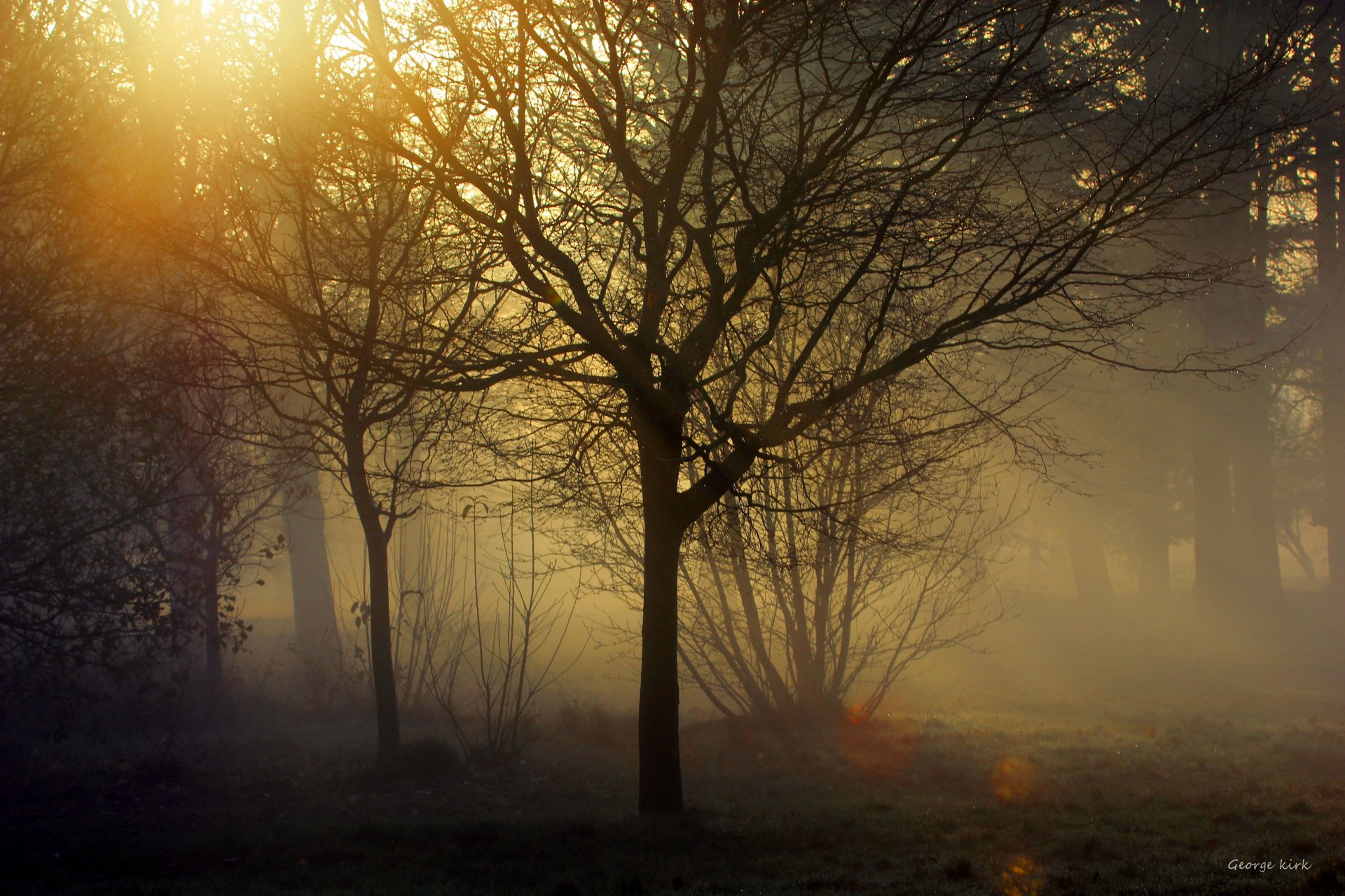 georg kirk árboles niebla oscuridad rayos