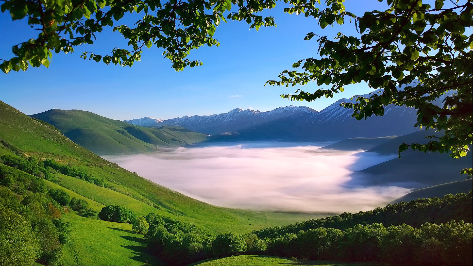 italia montañas de los apeninos cordillera monti sibillini valle mañana niebla árboles ramas follaje primavera mayo