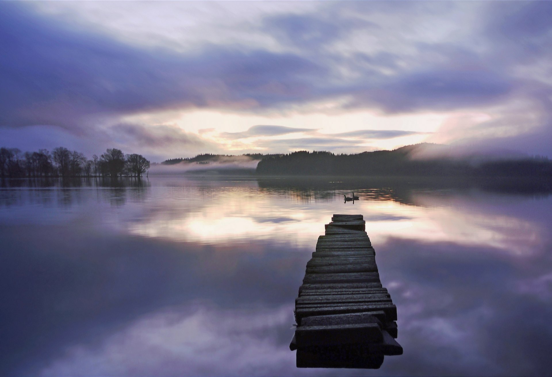 bosque lago puente cisnes niebla amanecer