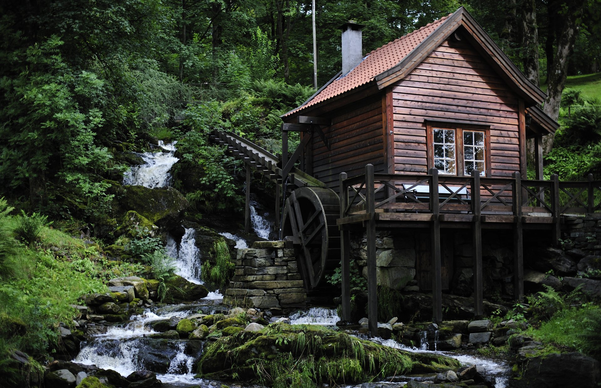 bosque río casa molino